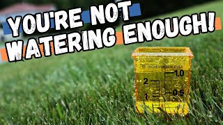 LAWN WATERING TIPS  How to properly water your lawn 💦  irrigation tips to prevent heat stress [upl. by Odelet]