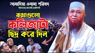 কথা গুলো কলিজাটা ছি দ্র করে দিল  Nazrul islam kasemi waz  মুফতি নজরুল ইসলাম কাসেমী WAZ 2023 [upl. by Philps743]