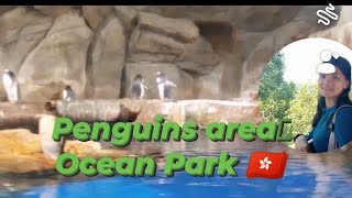 ocean Park HONG KONG watch what inside smallyoutuber Oceanpark [upl. by Eiznikcm]