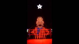 Musical Christmas light show to Sleigh Ride for 12 CCR tree [upl. by Nuarb935]