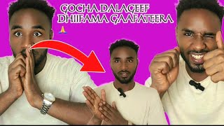 🔴 Dhimma haala yeroo irratti balleessaa hojjateef dhiifama gaafatee jira [upl. by Haldi345]