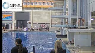 2023 USA Diving Winter Nationals Synchro Prelims Mens 3 Meter and Womens 10Meter [upl. by Meli]