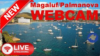 LIVE WEBCAM Magaluf  Palmanova Plaja Son Maties 4K UHD 247 live mallorca baleares webcams [upl. by Oilla]