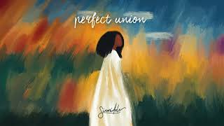 Sinmidele  perfect union lyric video [upl. by Ymmas]