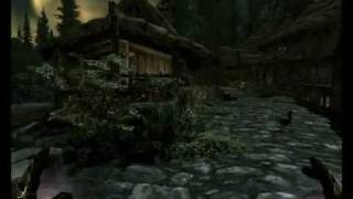 Skyrim  Treasure Map 1 I Riverwood [upl. by Nnainot]