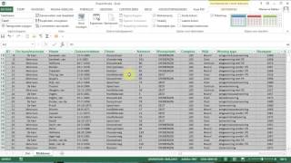 Excel Titels blokkeren [upl. by Herve751]