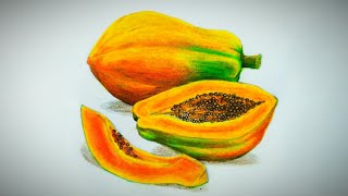 Papaya and slices drawing and pencil coloring tutorial  Freehand drawing  Realistic drawing [upl. by Ahsienel]