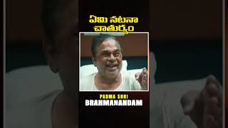 ఏమి నటనా చాతుర్యం  Brahmanandam  Prakashraj [upl. by Rooke287]