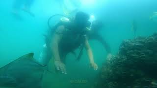 Scuba diving at Grande Island Goa  10 MIN UNDERWATER 🤿 [upl. by Kila]