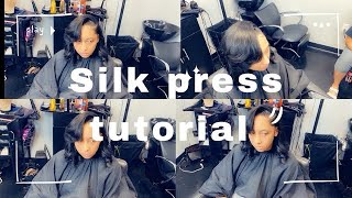 SILK PRESS tutorial [upl. by Olemrac607]