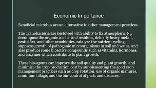 Cyanobacteria Definition Characteristics amp Species [upl. by Assirok78]