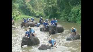 ถิ่นไทยงาม Land Of Beauty  The 1950s Thai Song in RampB [upl. by Champagne]