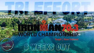 New Zealand Ironman 703 WC 🇳🇿  Training Vlog  8 Weeks Out  TRI EFFORT 🥝 [upl. by Smitty]