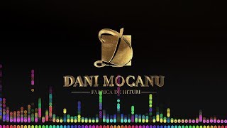 Dani Mocanu  Singur impotriva tuturor  Official Audio [upl. by Hacissej]