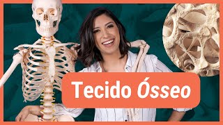 TECIDO ÓSSEO  Histologia [upl. by Nessej]