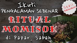 RITUAL  Kisah Benar Semasa Momisok 4K Full Video tehtarikgo [upl. by Reppiks]