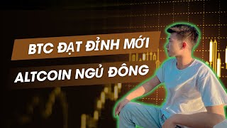 BTC Lập Đỉnh Lịch Sử Nhưng Altcoin Vẫn quotNgủ Đôngquot Chuyện Gì Đang Xảy Ra [upl. by Carnahan]