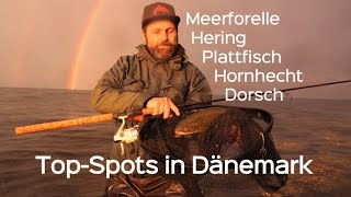 Angeln in Dänemark TopSpots für Meerforelle Hering Plattfisch amp Co Unterwegs in Nordseeland [upl. by Leirza]