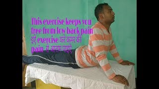 Low back pain  Lumber spondylosis exercise [upl. by Kwasi]