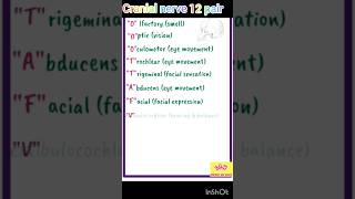 Cranial nerve cranialnerves How to learn cranial nerve shorts viralvideo spinalnerve likes [upl. by Hanford706]