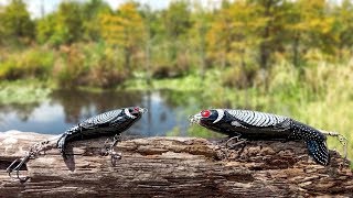 TINY vs BIG Whopper Plopper Fishing Challenge Topwater Lure [upl. by Margetts281]