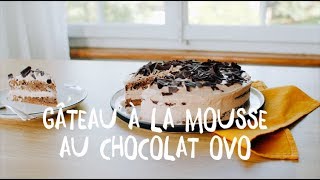 Recette gâteau à la mousse au chocolat Ovo [upl. by Philine]