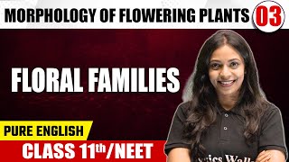 MORPHOLOGY OF FLOWERING PLANTS 03  Floral Families  Botany  Pure English  Class 11thNEET [upl. by Karilla]