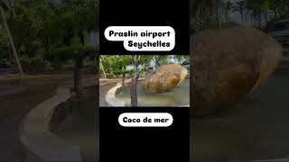 Praslin airportseychelles [upl. by Nihcas]