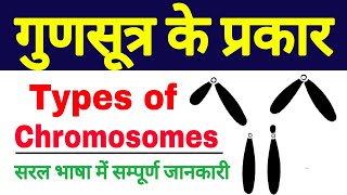 gunsutra ke prakar  types of chromosome  types of chromosomes based on the position of centromere [upl. by Atinauj]