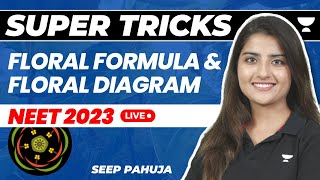 Floral Formula and Floral Diagram  Super Tricks  NEET 2023  Seep Pahuja [upl. by Garwood]