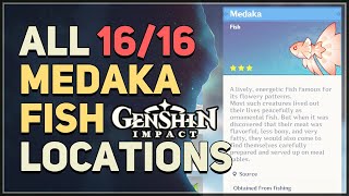 All 16 Medaka Locations Genshin Impact [upl. by Sessler251]