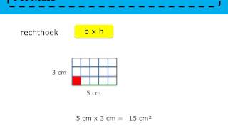 Zo gezegd Zo gerekend 5  les 28 Oppervlakte rechthoek en vierkant [upl. by Neeuq]