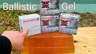 4 5 6 Birdshot amp 4 Buck vs Ballistic Gel Test 12 Gauge [upl. by Idnil347]