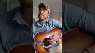 Hey Brother  Avicii amp Dan Tyminski cover [upl. by Clawson]