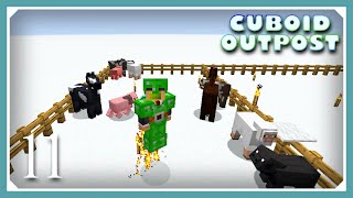 Cuboid Outpost Modpack  Animals amp Jetpack  E11  1165 Quest Modpack [upl. by Ayrad]