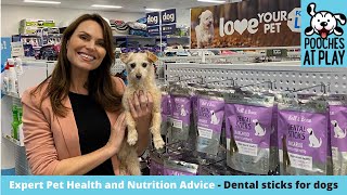 Dental sticks for dogs  Expert Dog Health and Nutrition Advice  S5 Ep2  Pooches at Play [upl. by Atiuqrehs239]