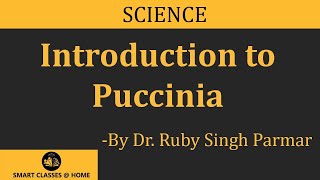 Puccinia Lecture BSc MSc by Dr Ruby Singh Parmar I Guru Kpo [upl. by Vitale]