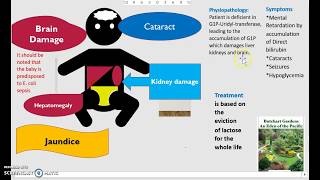 What is Galactosemia Causes Diagnosis Treatment Classic vs Galactokinase Deficiency USMLE NCLEX 3 M [upl. by Nnylhtak]