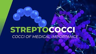 Streptococci of Medical Importance S pyogenes S agalactiae S pneumoniae and others [upl. by Garrett]