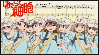 Piano  Platelet Theme  Hataraku Saibou [upl. by Dyane]