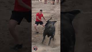 😱👉▶️ INCREÍBLE ARRANCADA DE ESTE TORO BRAVO EN Albalat p taurina 2023 short toros arrancada toro [upl. by Lemuel]