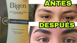 CEJAS con HENNA 😱 POR 2 SEMANAS 💥  Bigen  Alexandría [upl. by Illek]