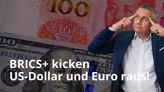 BRICS kicken USDollar und Euro raus [upl. by Enawyd]