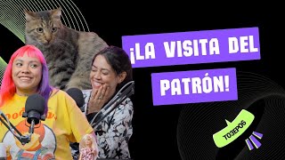 ¡Llegó el patrón al set y todo se puso bien Furro  Barbichotas [upl. by Esir]