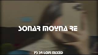 SONAR MOYNA RE BY RAKIB MUSABBABIR slowed x reverb [upl. by Sender]