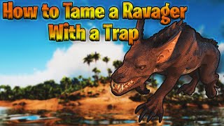 Ark  How to Tame a Ravager Easy with a Trap [upl. by Noman466]