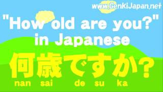 Learn Japanese How old are you GenkiJapanNet [upl. by Aninat]