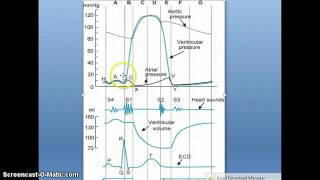 Siklus jantung cardiac cycle [upl. by Lerrad]