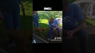 Dog reunites with its owner after many years 🐶🥺 shorts TheBigJTstraightouttaviral [upl. by Almallah]