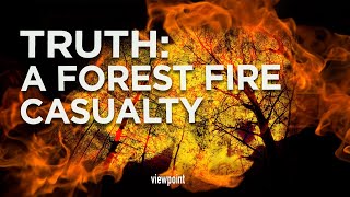 Truth A Forest Fire Casualty [upl. by Asimaj]